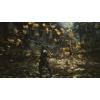 imageBlack Myth Wukong  PlayStation 5