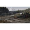 imageDays Gone Standard  PC Online Game Code
