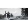 imageDays Gone Standard  PC Online Game Code