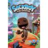 imageSackboy A Big Adventure Standard  PC Online Game CodeSteam