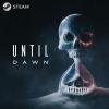 imageUntil Dawn Standard  PC Online Game CodePC Online Game Code